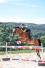 Hongre poney D 6 ans CSO par Linaro