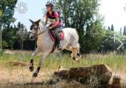 Ponette Connemara de 12 ans 