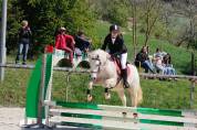 Ponette Connemara de 12 ans 
