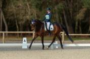 Travail du cheval - Gardiennage d'écurie