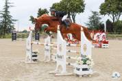 Jument SF 7 ans