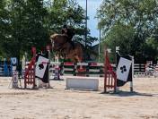 Jument SF 7 ans