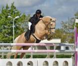 Superbe Ponette pour enfant de p1 à AS1