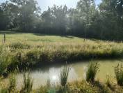 Propriété atypique en bordure de forêt