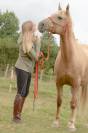 Cara, magnifique jument palomino de 12 ans pour loisir 