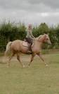 Cara, magnifique jument palomino de 12 ans pour loisir 