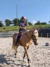 Cara, magnifique jument palomino de 12 ans pour loisir 