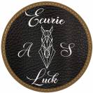 Pension familiale - Écurie AS Luck - 35190 Tinteniac