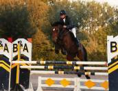 Hongre 13 ans CSO - A vendre
