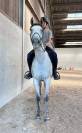 Jolie et sympa jument de 3 ans et demi, 155 cm