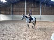 Jolie et sympa jument de 3 ans et demi, 155 cm