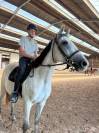 Jolie et sympa jument de 3 ans et demi, 155 cm