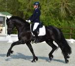 Frison 7 ans 