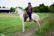 Jument Pur Sang Lusitanienne 5 ans.