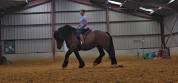 Etalon trait ardennais