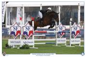 Top hongre 6 ans à vendre