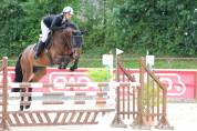 Top hongre 6 ans à vendre
