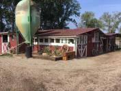 Blue Grass Ranch - Pension chevaux - Krautergersheim