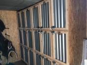 Blue Grass Ranch - Pension chevaux - Krautergersheim