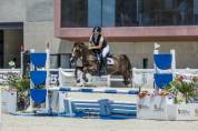 Pony C