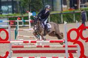 Pony C