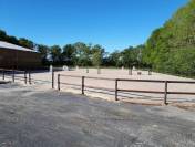 Échappez-vous avec votre cheval en Normandie 