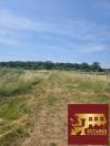 Vienne (86) - Belle opportunité -10 hectares -