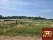 Vienne (86) - Belle opportunité -10 hectares -