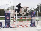 Poney D à louer 