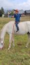 ALASKA BARBE PP HONGRE BLANC 15 ANS FACILE 4500 €