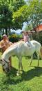ALASKA BARBE PP HONGRE BLANC 15 ANS FACILE 4500 €