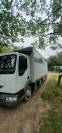 Camion poids Lourd chevaux 