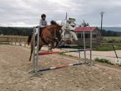 JUMENT PAINT HORSE - 18 ANS