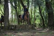 JUMENT PAINT HORSE - 18 ANS