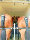 Van BÖCKMANN DUO-C Pack Luxe