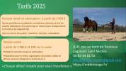 Pension travail dans écurie de dressage
