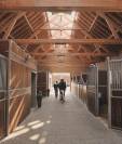 Une place en pension au Haras des Vignes d’Allouin