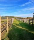 Une place en pension au Haras des Vignes d’Allouin