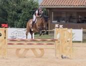 Haltane de Morenol 8 ans par Ogrion des Champs
