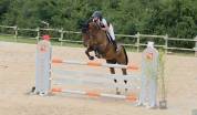 Haltane de Morenol 8 ans par Ogrion des Champs