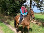 Pur-sang hongre 17 ans