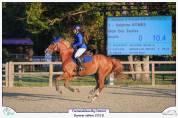 Hongre Selle Français 9 ans alezan crins lavés 1m65 CSO