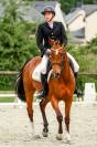 Jument de sport