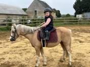 Welsh b 