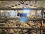 Propriété rurale en Clunysois