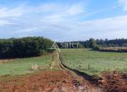 Belle propriété bâtie sur 17ha avec gîtes et verger, proche