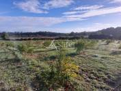 Other agricultural property  Dordogne