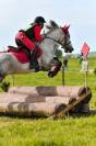Propose DP Poney D Connemara 