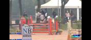 BWP del 2015 