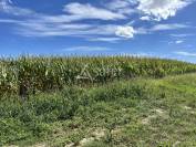 Other agricultural property  Gers